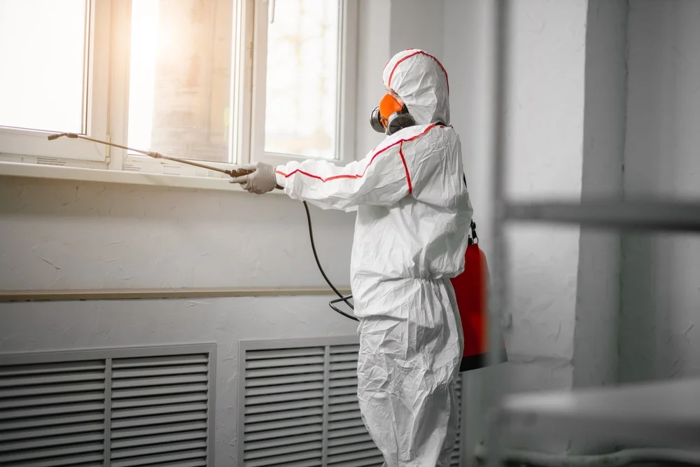 Professional mold remediation services in Jackson, GA